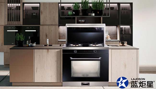 集成灶加盟創業,這是藝術的裝飾 集成灶加盟