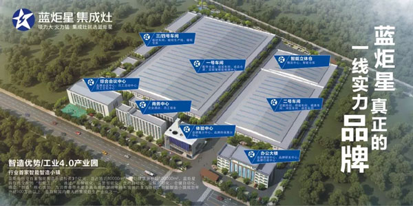 嵊州市市委副書記、市長嚴鋼一行領導督察藍炬星集成灶2019年重點建設項目