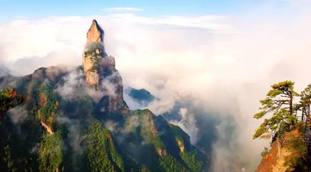 喜訊！浙江仙居葉總成功加盟藍(lán)炬星