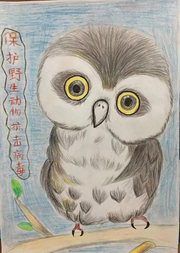 保護野生動物抗擊病毒