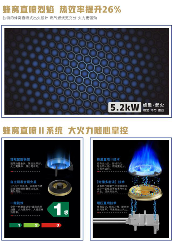 藍炬星集成灶蜂窩直噴烈焰